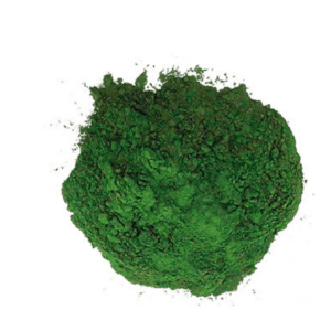 Alga chlorella