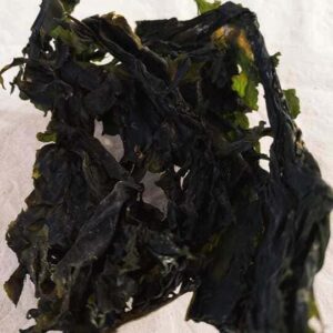Alga wakame