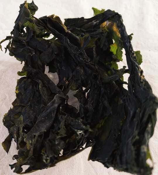 Alga wakame