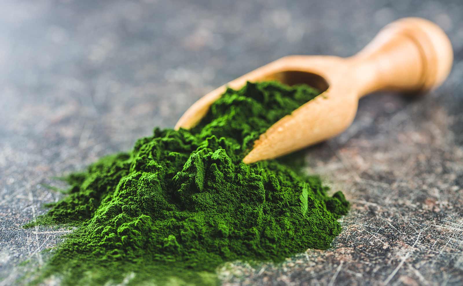 Alga chlorella - Imagen 2