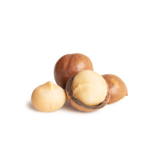 Nuez de Macadamia