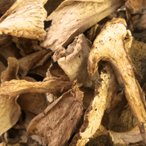 Boletus deshidratado