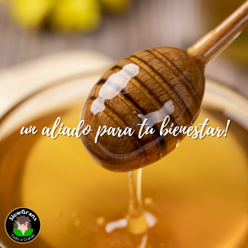 Endulzantes naturales en Slowgrans: Dulzura saludable a granel