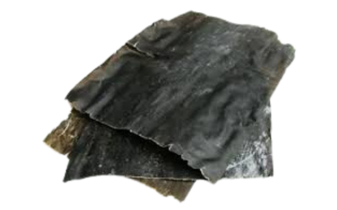Alga Kombu: Propiedades, beneficios y usos en Slowgrans :)
