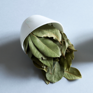 Hoja de laurel