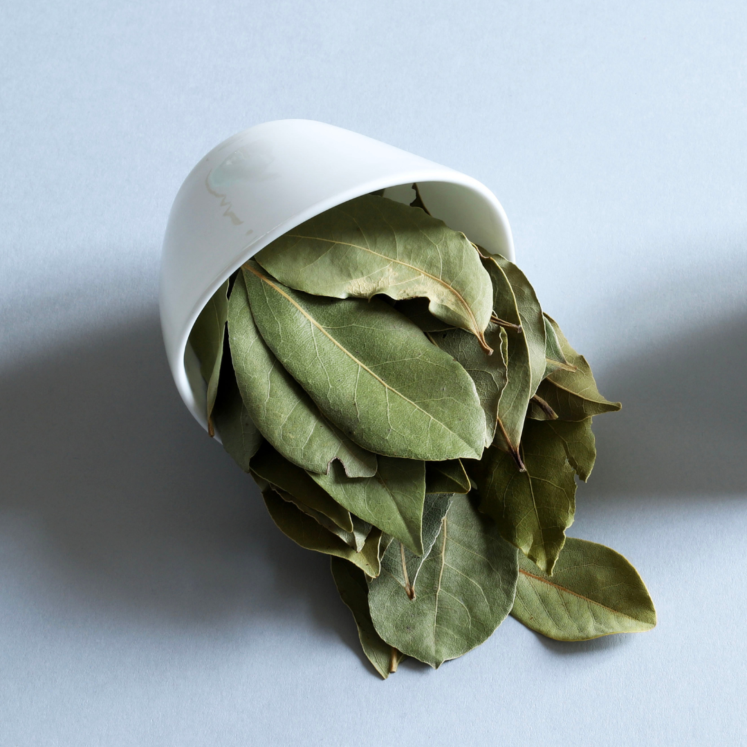 Hoja de laurel