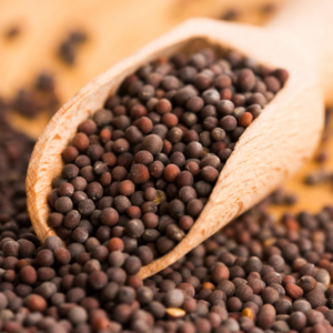 Mostaza marrón en grano