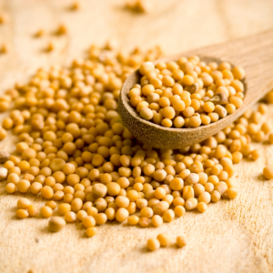 Mostaza molida amarilla en grano