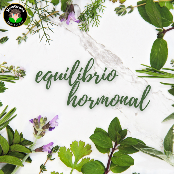 10 Hierbas y Especias para ayudar al equilibrio hormonal