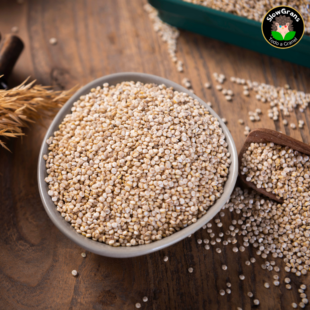 Quinoa blanca
