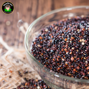 Quinoa negra