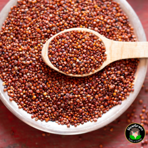 Quinoa roja